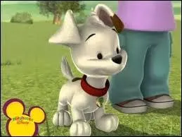 Buster est le chien de