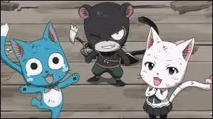 Quelle est la race de Happy, Carla et Panther Lily ?