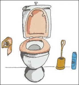 Si je vous dis que sur mon gel WC il y a écrit "Pour nettoyer le trône, c'est le roi", vous me dites :