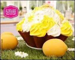 Comment s'appelle ce gâteau ?