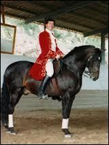 A votre niveau d'équitation, vous devez soigner de plus en plus votre position à cheval.
Cochez les cases correspondantes a une bonne position.