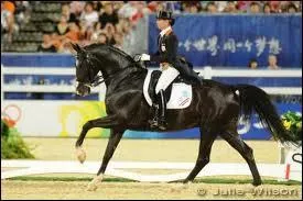 Dans une épreuve de dressage le cavalier doit soigner les changements d'allures.
 Que savez-vous à ce sujet ?