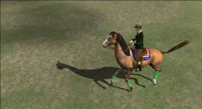 Que savez-vous sur les cadences du cheval, dans une épreuve de dressage ?