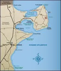 Que pourrez-vous contempler si vous visitez la péninsule Valdés, dans le nord-est de la Patagonie argentine ?