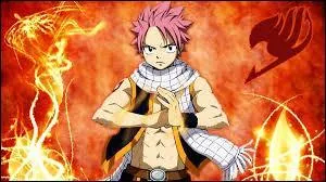 Qui est Natsu ?