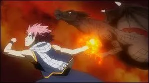 Quelle est la technique de Natsu ?