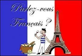 Dans un rapport de 1999, la délégation générale à la langue française estime à ___ le nombre de langues régionales et minoritaires en France (métropole COM)