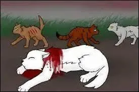 Par qui Tornade Blanche a-t-il été tué ?