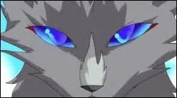 Comment est morte Etoile Bleue ?