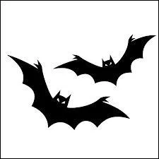 "chauve souris" ça se dit :