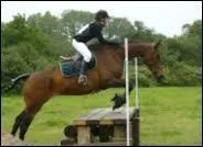 Quelle est la première phase du saut ?