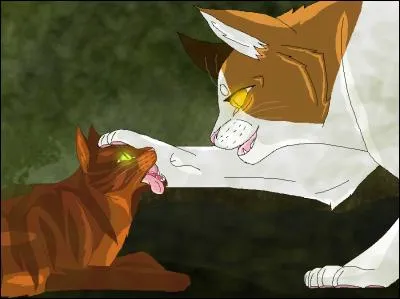 Etoile Balafrée a été maudit par Ombre d'Erable alors qu'il n'était encore qu'un chaton, à son insu.