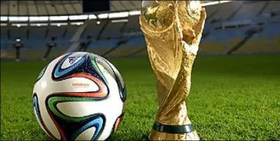 Il a été élu meilleur buteur de la Coupe du monde 2014.