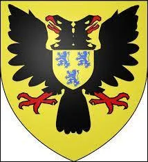 Voici le blason d'une ville du Nord. Dans cette ville, le bêtise est reine. Il s'agit de ...