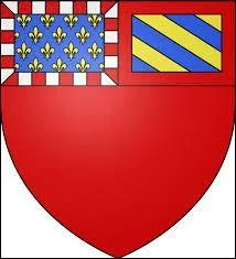 Voici le blason d'une ville de Bourgogne. Elle est connue pur sa moutarde mais aussi pour sa crème de cassis ou son pain d'épices. Cette ville est ...