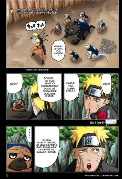 A qui Naruto demande-t-il à quoi ressemble le visage de Kakashi ?