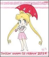 Quelle est l'identité secrète de Sailor moon ?