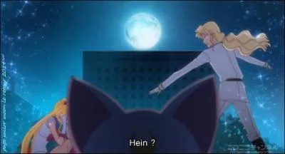 Dans Sailor moon Crystal
de quelle couleur sont les yeux d'Artémis ?