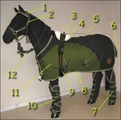 Qu'est-ce que l'élément numéro 3 ?