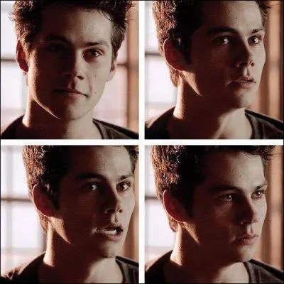Qui craquait pour Stiles ?