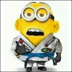 À présent, ces Minions ont décidé de prendre une fusée et ils sont rentrés dans un nouveau monde qui s'appelle :