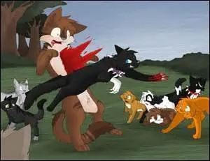 Avec quelle(s) chatte(s) a-t-il fait des petits ?