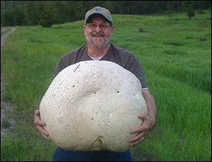 Ce monsieur porte un très gros champignon :