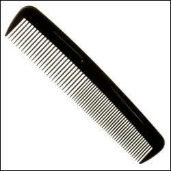 Cousin de la brosse à cheveux, je suis...