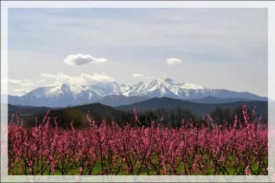 Le massif du Canigou dans les Pyr&eacute;n&eacute;es-Orientales culmine &agrave; 2784 m&egrave;tres mais quelle roche le compose ?