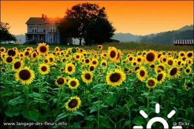 Quel âge a-t-elle ?