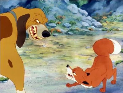 Que se passa-t-il quand Rouky arriva dans la forêt ?