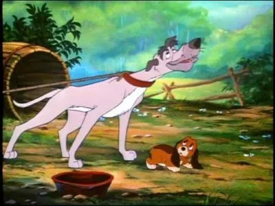 Qu'a dit Chef quand Rouky a reniflé Rox ?