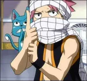 Qui est Natsu ?