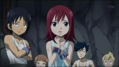 Quel personnage s'est sacrifié pour Erza lors du combat qui opposé Erza et Jellal ?