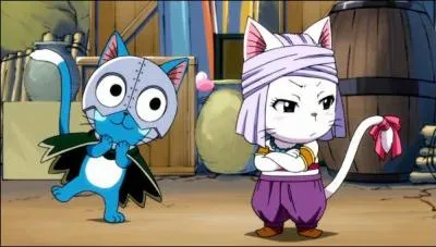 Happy et Carla sont des ...