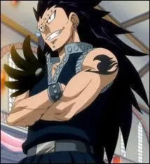 Qui est amoureuse de Gajeel ?