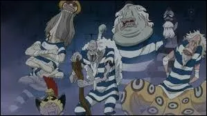 Quel est l'ennemi de Luffy ?