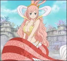 Qui ou qu'est Shiraoshi ?