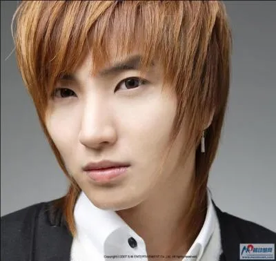 Qui est ce membre des Super Junior ?