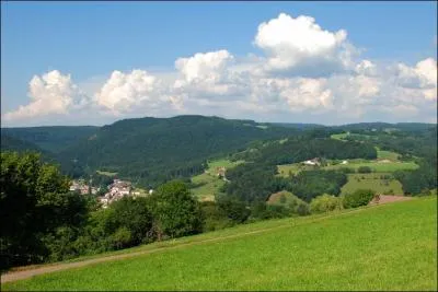 Quel département ne pourrez-vous pas rejoindre sans être obligé d'en traverser un autre en partant de celui des Vosges ?