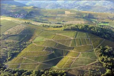 De ces départements, lequel n'est pas voisin de celui du Rhône ?