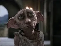 Elfe de maison, j'ai aidé Harry dans ses quêtes, je meurs, poignardé par Bellatrix Lestrange...