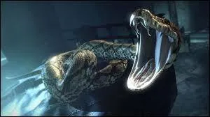 Grand animal reptilien au sang froid, je dévore des humains grâce à mes dents pointues, représentant de la Marque des Ténèbres, je suis le fidèle bras droit de Lord Voldemort. Qui suis-je ?