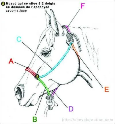 Quelle lettre correspond au montant ?