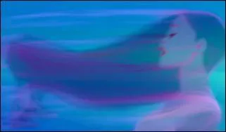 Dans "L'Air du vent", Pocahontas dit que deux animaux sont ses amis. Lesquels ?