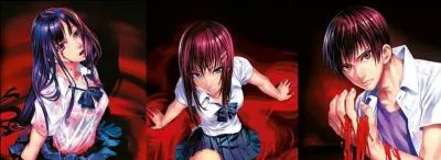 Combien de saisons composent ce manga ?