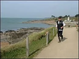 Comment appelle-t-on la côte qui s'étend de l'estuaire de la Loire au nord au marais breton au sud ?