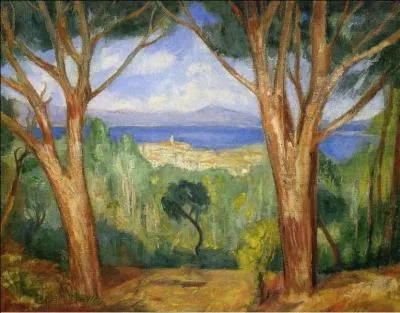 Qui a peint Vue sur Saint Tropez ?