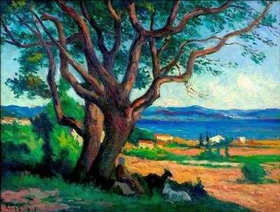 Qui a peint Vue du golfe de Saint Tropez ?