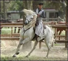 On l'utilise surtout pour :